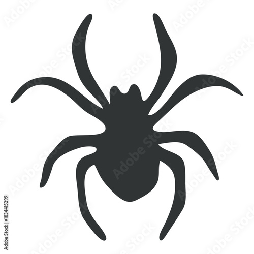 Fototapeta Spider animal arachnid gray silhouette
