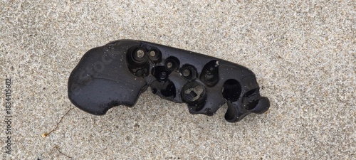 Altes Holz mit Bohrlöchern der Schiffsbohrmuschel