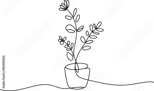 Continuous single line drawing of indoor flower. Indoor plant in a pot. one line Icon drawing