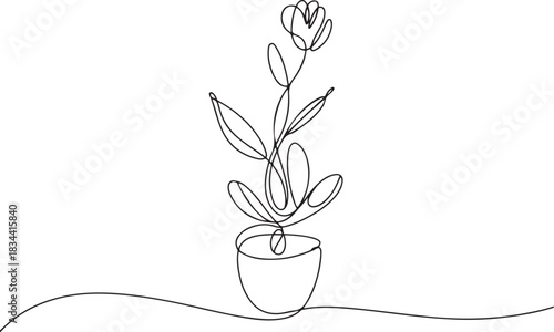 Continuous single line drawing of indoor flower. Indoor plant in a pot. one line Icon drawing