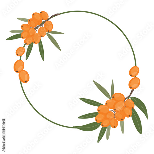 Botanical berry wreath, sea buckthorn frame. Natural wreath with orange berries, circle. Harvest berry wreath, botanical decorative ring