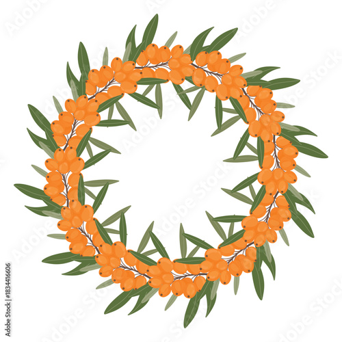 Sea buckthorn wreath, botanical berry ring. Buckthorn berry wreath, natural circle. Orange berry wreath, botanical round frame illustration