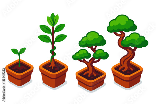 Bonsai Growth Journey. Isometric vector illustration set Bonsai Growth Stages: Seedling in pot, sapling with first wires,