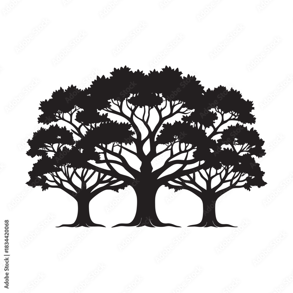 Obraz premium Ancient Oak Tree Line Silhouette Artwork