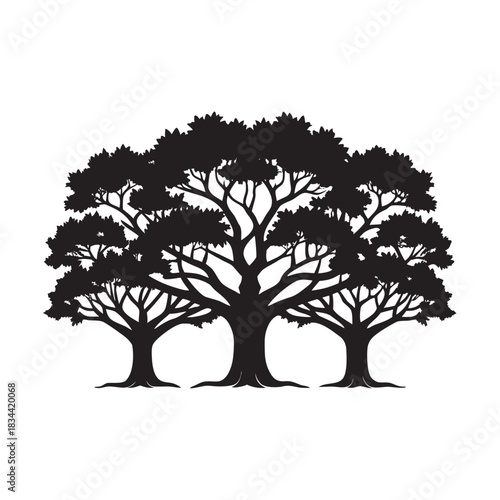 Ancient Oak Tree Line Silhouette Artwork