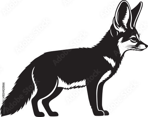 Elegant black and white illustration of a Fennec Fox