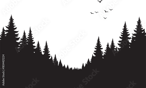 Silhouette of evergreen forest with birds flying above horizon