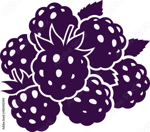 Stylized illustration of blackberries clustered together on a light background for culinary and health purposes