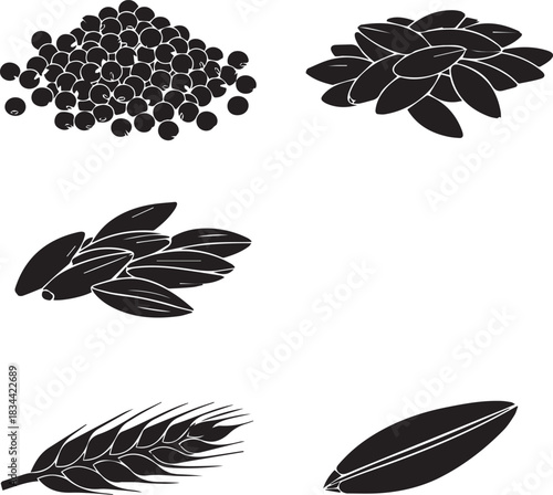 Collection of black and white illustrations of seeds and grains