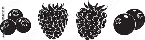 Black and white illustration of blueberries and raspberries