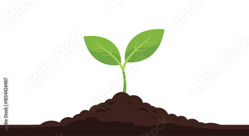 Hopeful illustration of a small green sprout with two leaves emerging from a mound of rich dark soil, symbolizing new beginnings.