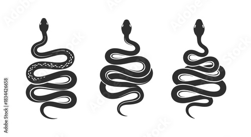 Set of three stylized black snakes in a vintage coiled design, featuring different textures, perfect for mystical or tattoo-inspired art.