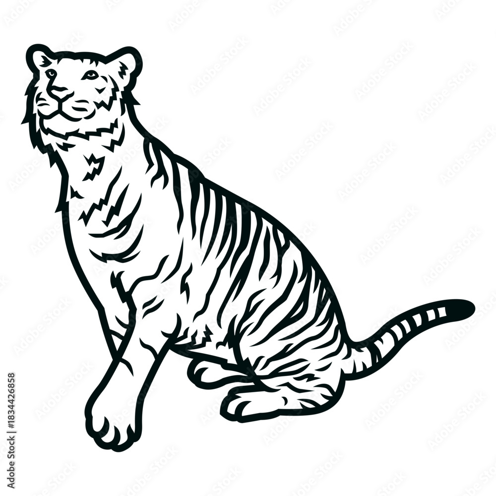 Obraz premium Tiger looking up stroke