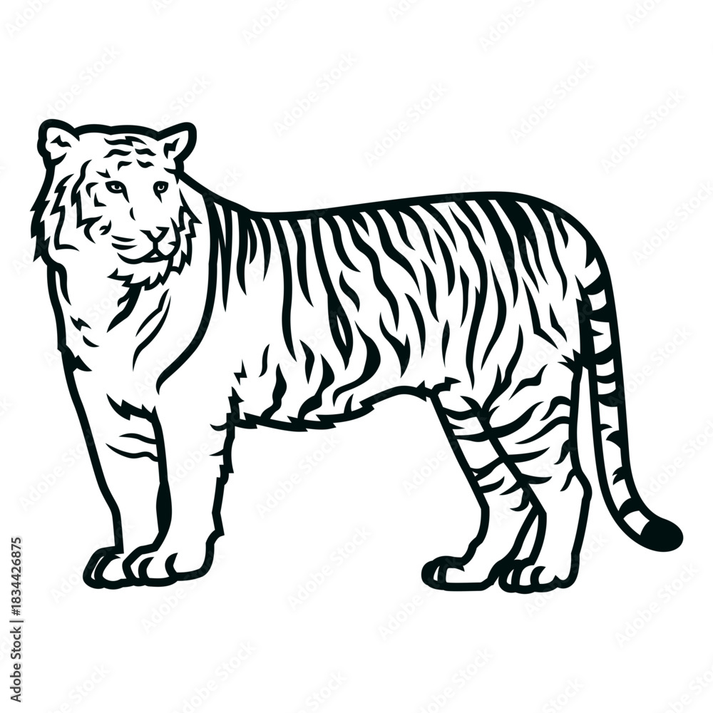 Fototapeta premium Tiger side stroke