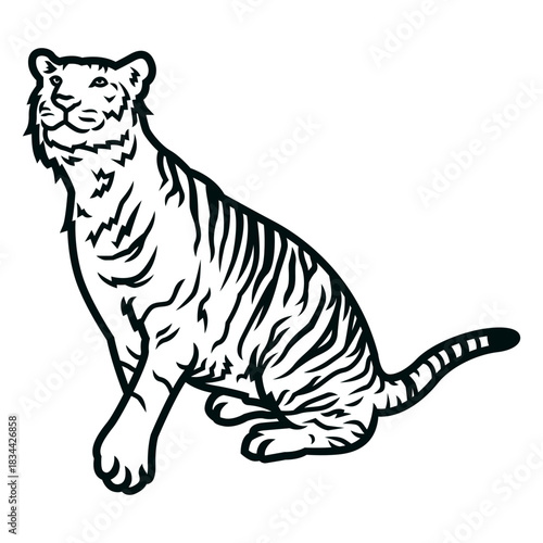 Tiger looking up stroke