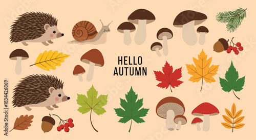 'Hello Autumn' themed collection of cute forest elements, including hedgehogs, a snail, various mushrooms, and colorful fall leaves.