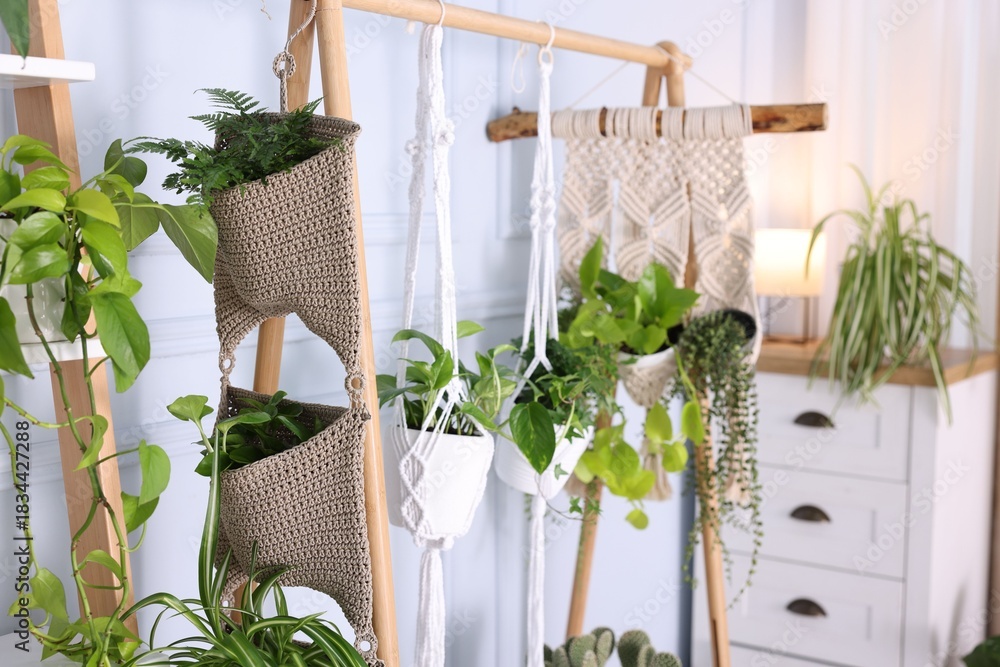 Fototapeta premium Different potted houseplants hanging from rack indoors