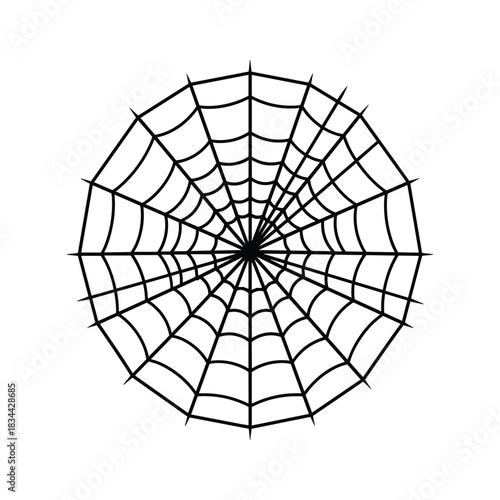 Black spider web graphic on white background arachnid insect