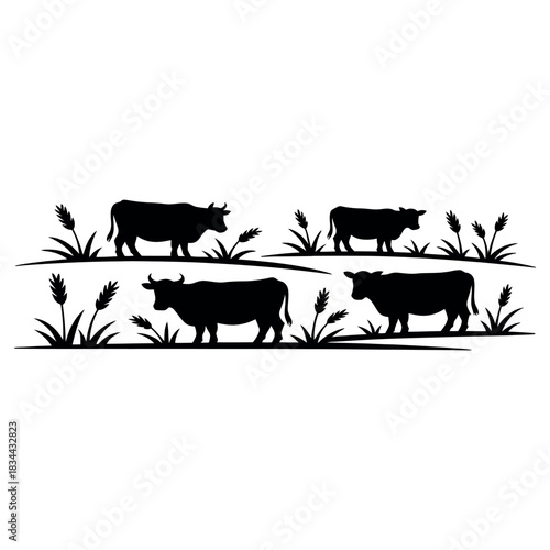 Silhouette of four cows grazing among tall grasses