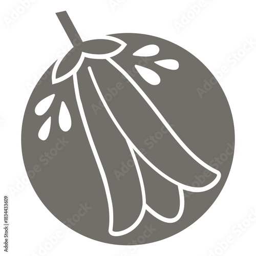 Chilean bellflower monochrome