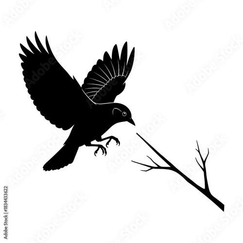 bird pigeon with wings on white background silhouette vector design illustration