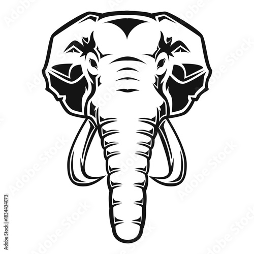 Elephant head high contrast