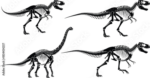 Prehistoric Dinosaur Skeleton Set: Detailed Vector Illustrations of Extinct Reptile Fossils, Including Tyrannosaurus Rex and Long-Necked Brachiosaurus or Apatosaurus.