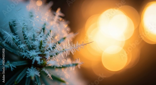 nahaufnahme von reifkristallen auf einem tannenzweig vor warmem weihnachts bokeh