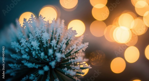 Makroaufnahme von Raureif auf einer Tannennadel mit warmem goldenen Bokeh-Licht