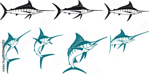 Collection of marlin illustrations, dynamic poses, marlin fish drawing, ocean marine life vector art
