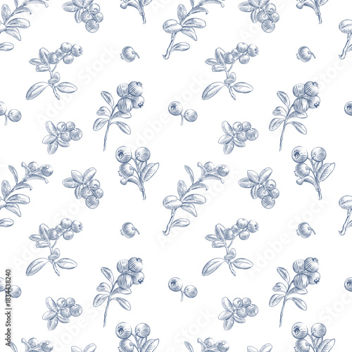 Seamless Lingonberry Branch Pattern. Hand drawn botanical vector illustration

