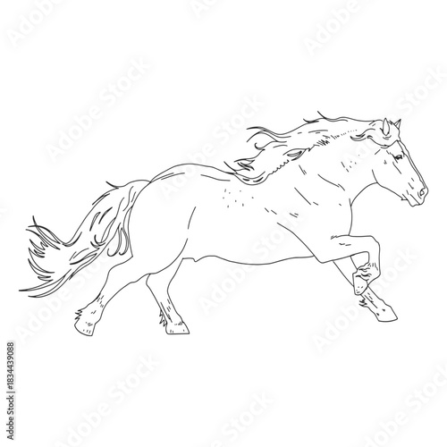 Horse running realistic hand-drawn