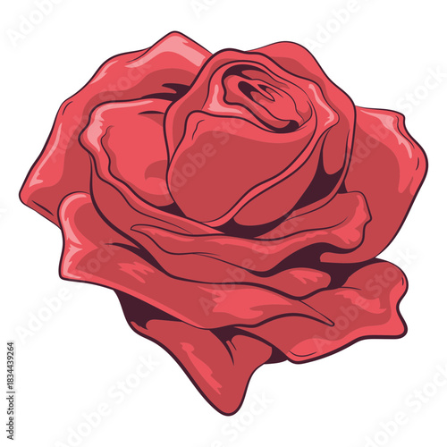 Lovely rose illustration