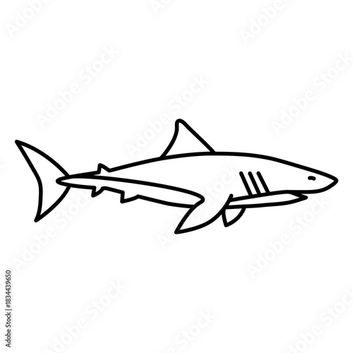 Shark water animal stroke