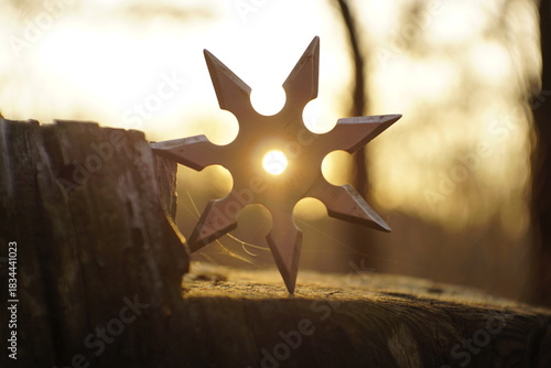 фотографія A shining shuriken pierced by the light of the sunset Among the forest greenery