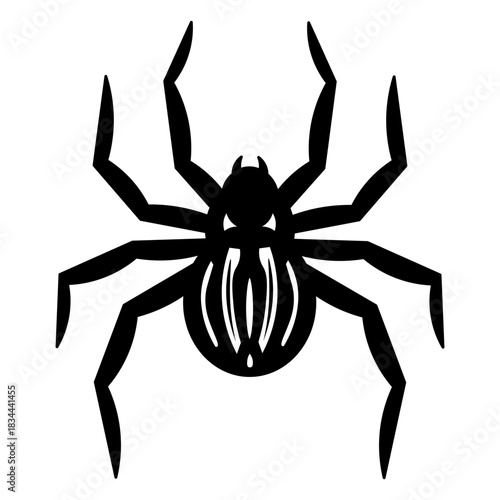 Spider top view cut-out