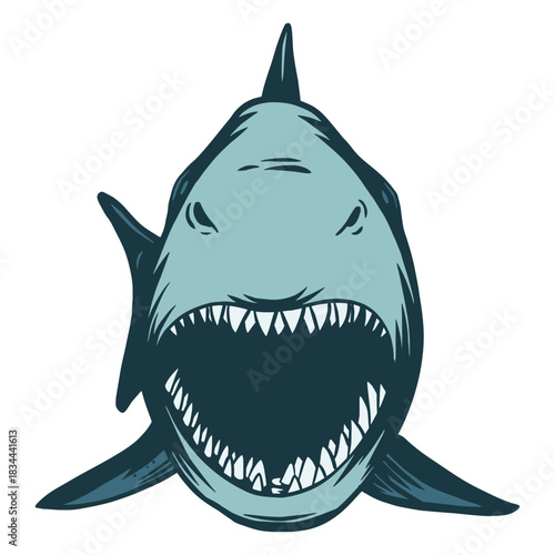 Jaw shark illustration