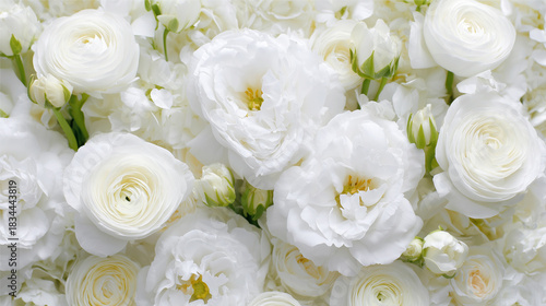 Wallpaper Mural 2026 color trend. White peonies, roses, and ranunculuses create a stunning floral wall, showcasing delicate petals and lush greenery, perfect for weddings and special occasions Torontodigital.ca