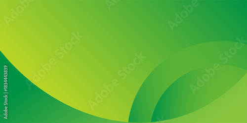 Abstract wave background. Fluid shapes composition. vector design concept. Decorative web layout or poster, banner