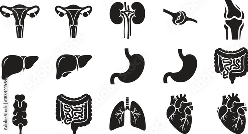 Human Anatomy Organs Black Silhouettes Collection for Medical Illustration Design