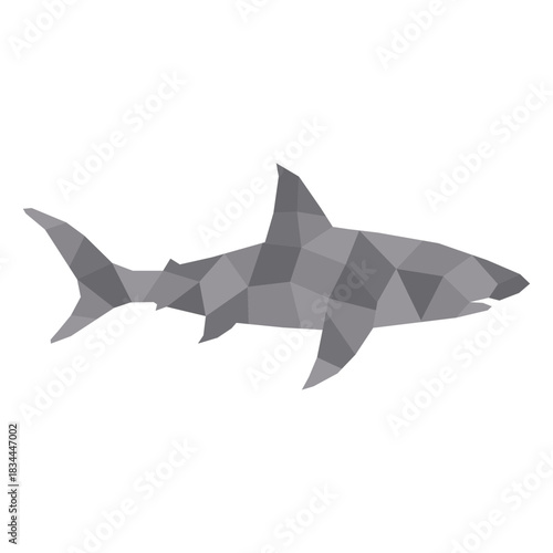 Simple polygonal shark profile