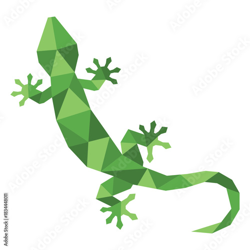 Color simple polygonal lizard