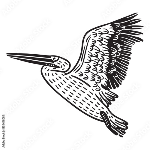 Simple flying hand drawn heron