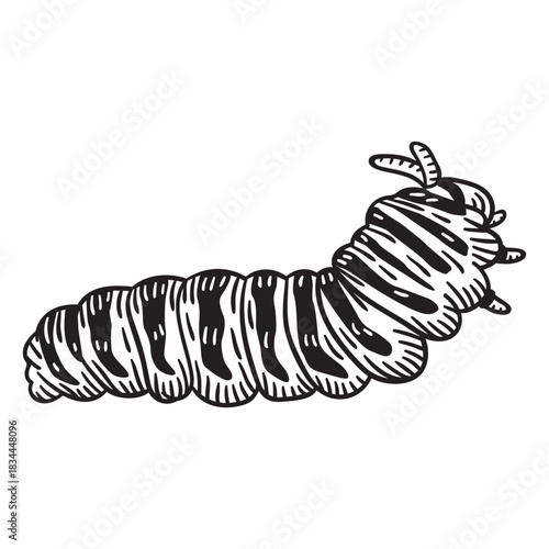 Walking hand drawn caterpillar