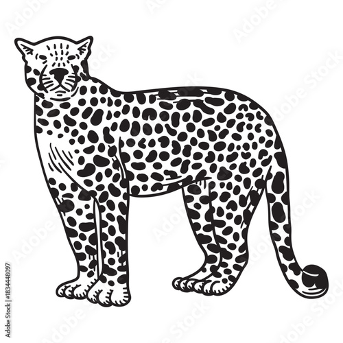 Standing simple hand drawn jaguar