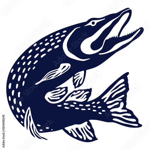 Fotografie Fish barracuda illustration