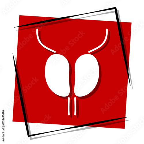 prostatitis, red banner in a frame. Vector illustration on a white background.