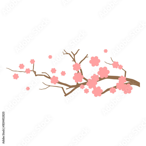 Sakura branch with flowers flat