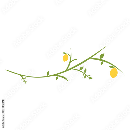 Lemon tree branch flat