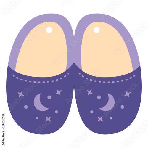 Night slippers flat